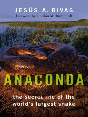 cover image of Anaconda